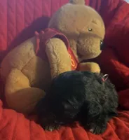 processed/affbfa08-2c51-4783-a116-c83ea646b1ae/listing/7af35737-2886-4c4f-b5b0-a91dfb09ca8a/0afc1753-6a11-4aae-a253-7572a051dc7f