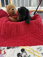 processed/affbfa08-2c51-4783-a116-c83ea646b1ae/listing/7af35737-2886-4c4f-b5b0-a91dfb09ca8a/3c22a9a4-62b3-4fe0-a012-4b232e779d03