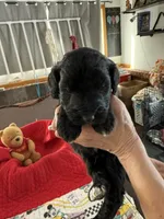 processed/affbfa08-2c51-4783-a116-c83ea646b1ae/listing/7af35737-2886-4c4f-b5b0-a91dfb09ca8a/9f5c37dc-a8f4-4eae-9622-877290de06f9