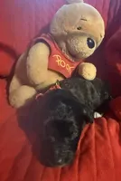 processed/affbfa08-2c51-4783-a116-c83ea646b1ae/listing/7af35737-2886-4c4f-b5b0-a91dfb09ca8a/d0c84a42-def5-438c-a9ec-ec3ba2940d3f