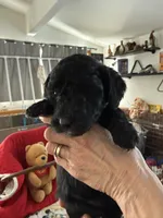 processed/affbfa08-2c51-4783-a116-c83ea646b1ae/listing/8e385dec-3ec4-4608-9026-93a273607c6d/011a1f54-10ee-4bca-8ce3-97bbc5898d42