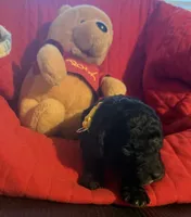 processed/affbfa08-2c51-4783-a116-c83ea646b1ae/listing/8e385dec-3ec4-4608-9026-93a273607c6d/10b64e5e-a55d-4b04-9c70-bbbc928e7cb1