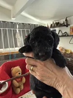 processed/affbfa08-2c51-4783-a116-c83ea646b1ae/listing/8e385dec-3ec4-4608-9026-93a273607c6d/1a4b3b89-a1be-4088-90a2-8c186fe5260e