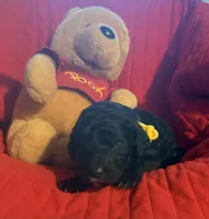 processed/affbfa08-2c51-4783-a116-c83ea646b1ae/listing/8e385dec-3ec4-4608-9026-93a273607c6d/32f9b8c7-2bd0-45fd-ac24-812d490133a6