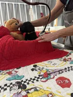 processed/affbfa08-2c51-4783-a116-c83ea646b1ae/listing/8e385dec-3ec4-4608-9026-93a273607c6d/90993881-d313-4c1d-b740-4a615a5b159d