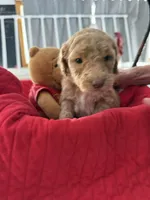 processed/affbfa08-2c51-4783-a116-c83ea646b1ae/listing/8e5f6340-240e-44df-89d6-1923b9ae852a/200abbb7-8bdd-4f35-b618-7ba0d86847ca