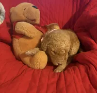 processed/affbfa08-2c51-4783-a116-c83ea646b1ae/listing/8e5f6340-240e-44df-89d6-1923b9ae852a/51917421-b40d-4e6d-97f9-89c8c29cdf04