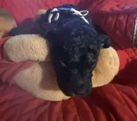 processed/affbfa08-2c51-4783-a116-c83ea646b1ae/listing/b24fc44a-c814-485e-91a5-2b32f7d542e5/1ff368a9-e99f-4982-b6b2-fd80c07bc86c