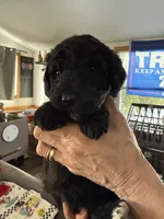 processed/affbfa08-2c51-4783-a116-c83ea646b1ae/listing/b24fc44a-c814-485e-91a5-2b32f7d542e5/794254e3-8054-4160-ac06-5531aec061bc