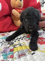 processed/affbfa08-2c51-4783-a116-c83ea646b1ae/listing/b24fc44a-c814-485e-91a5-2b32f7d542e5/8755b9b6-d982-4478-b377-455ee3be410b