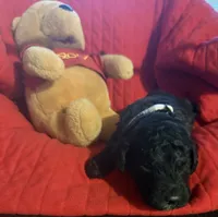 processed/affbfa08-2c51-4783-a116-c83ea646b1ae/listing/b24fc44a-c814-485e-91a5-2b32f7d542e5/8b0fd8de-30b1-4a50-b62b-73d812b5cc02