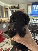 processed/affbfa08-2c51-4783-a116-c83ea646b1ae/listing/b24fc44a-c814-485e-91a5-2b32f7d542e5/9261057c-cdbf-437f-85bb-ae879873328d