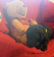 processed/affbfa08-2c51-4783-a116-c83ea646b1ae/listing/fea32f97-1329-4206-941c-37e265cddbb9/6b944759-dd7d-48ca-9c3b-f9e08c976a80