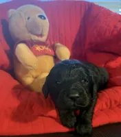 processed/affbfa08-2c51-4783-a116-c83ea646b1ae/listing/fea32f97-1329-4206-941c-37e265cddbb9/c476d176-d080-4275-a8e9-c3d3dc220502