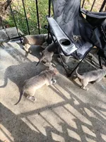 processed/b00b4294-124d-41af-b78b-a1b05f8c3063/listing/2e349b6c-c3a1-43a7-a059-8118ba229c43/118b5696-e71f-45a8-9628-7de5ac5d86a2