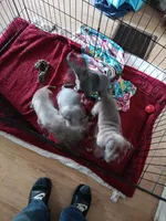 processed/b00b4294-124d-41af-b78b-a1b05f8c3063/listing/2e349b6c-c3a1-43a7-a059-8118ba229c43/7ee01835-16a0-49ef-b6dc-4796e58d40cb