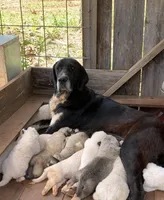 processed/b00d7abd-47ca-4e7f-97f8-cdfda89d3d45/facility/19ac31e6-004d-462e-bebf-4360d748f770