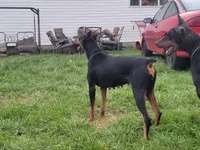 processed/b013cd91-c534-42ff-b821-24f5260f1cef/facility/ae817c63-9392-4e34-9a18-df036c084264