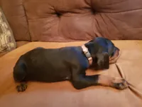 processed/b013cd91-c534-42ff-b821-24f5260f1cef/listing/1c928092-438e-4408-a487-87c2d03bc736/baa3a5e7-7822-4cfa-9043-42af25b4c1c4