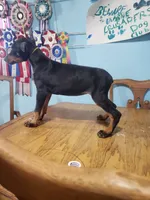 processed/b013cd91-c534-42ff-b821-24f5260f1cef/listing/1c928092-438e-4408-a487-87c2d03bc736/e390184f-fa03-47c0-9472-7b3944f7cc85