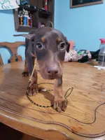 processed/b013cd91-c534-42ff-b821-24f5260f1cef/listing/4e6b5730-03d0-4731-ae8c-6740af26f6c5/0531485d-802e-4af4-bfc2-6f5dcaeec622