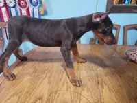 processed/b013cd91-c534-42ff-b821-24f5260f1cef/listing/4e6b5730-03d0-4731-ae8c-6740af26f6c5/653c7210-3f9e-472b-8e86-92ddeb801a64