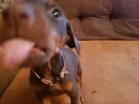 processed/b013cd91-c534-42ff-b821-24f5260f1cef/listing/4e6b5730-03d0-4731-ae8c-6740af26f6c5/d34554d0-2002-4194-8937-bb34d9b92ac8