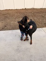 processed/b0170050-f690-48a6-9c60-6ceddec37e26/listing/a1d0b778-19af-43a2-8f5f-45824af35274/80b407d8-d8cc-480e-8659-ea245de9b53e