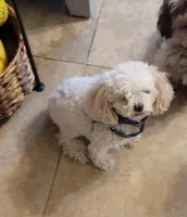 processed/b0197ac7-5a65-45f7-9214-5822e7bba325/facility/e94122f9-c6e5-4c47-9fe9-fe8677445fc3