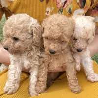 processed/b019af55-b284-46d8-8b16-708fb94c420b/facility/02945690-83d9-49f3-bd92-fa0ff87d6d23