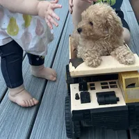 processed/b019af55-b284-46d8-8b16-708fb94c420b/facility/0f676924-3fba-4317-bb18-88386251b5d8