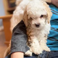 processed/b019af55-b284-46d8-8b16-708fb94c420b/facility/2a2c27f2-0b5a-4a91-ba9b-01232b32f380