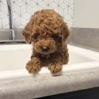 processed/b019af55-b284-46d8-8b16-708fb94c420b/facility/51f1b011-ae9c-4908-b558-22467b102c19