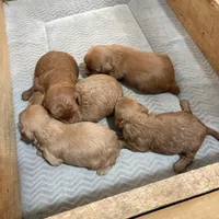 processed/b019af55-b284-46d8-8b16-708fb94c420b/facility/a92bb65b-0fb5-44e3-9f5a-4cf1f71d1584