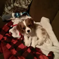 processed/b01bd076-1093-47ab-a57a-ca5a27ab970f/facility/73f13ca8-4855-4baa-94b5-88c53a88a86e