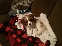 processed/b01bd076-1093-47ab-a57a-ca5a27ab970f/facility/73f13ca8-4855-4baa-94b5-88c53a88a86e