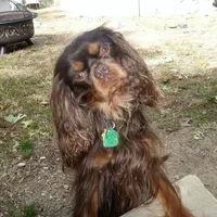 processed/b01bd076-1093-47ab-a57a-ca5a27ab970f/facility/8cc2b288-b8f9-4893-b4ec-4269baab673b