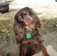 processed/b01bd076-1093-47ab-a57a-ca5a27ab970f/facility/8cc2b288-b8f9-4893-b4ec-4269baab673b