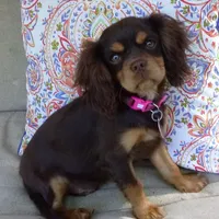 processed/b01bd076-1093-47ab-a57a-ca5a27ab970f/facility/90f4dfef-174e-4b14-a394-0f56bcc92767