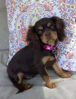 processed/b01bd076-1093-47ab-a57a-ca5a27ab970f/facility/90f4dfef-174e-4b14-a394-0f56bcc92767