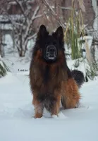 processed/b01e04bc-fa7b-439d-afad-b6daa19f04d0/listing/d97b2521-7bc7-49fb-9860-723df8396dd8/a0877eef-de3e-4f93-b5ed-1b43a0ed878d