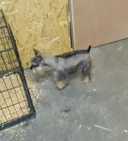 processed/b022dc9f-76a8-46ad-98e3-bd6c20bf0dfa/facility/01509a92-a61a-4e06-86f9-e5162ea28f89