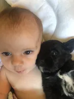 processed/b022dc9f-76a8-46ad-98e3-bd6c20bf0dfa/facility/b3f1a58a-c838-4c51-b781-bdc601007d28