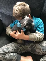 processed/b022dc9f-76a8-46ad-98e3-bd6c20bf0dfa/facility/f4c7b41e-d479-4b71-b1c7-fa07e5263cd1