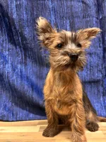 processed/b022dc9f-76a8-46ad-98e3-bd6c20bf0dfa/listing/0579b8a4-9da8-499f-adcf-8de4acd5f086/024c1c36-afb5-404c-8ba8-d437ff5141b3