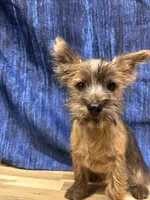 processed/b022dc9f-76a8-46ad-98e3-bd6c20bf0dfa/listing/0579b8a4-9da8-499f-adcf-8de4acd5f086/160f0d2e-42a8-40d9-9ebe-8b302df16a32