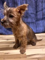 processed/b022dc9f-76a8-46ad-98e3-bd6c20bf0dfa/listing/0579b8a4-9da8-499f-adcf-8de4acd5f086/4b05698d-af10-4c83-adfa-06d04e165ad5