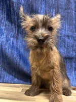 processed/b022dc9f-76a8-46ad-98e3-bd6c20bf0dfa/listing/0579b8a4-9da8-499f-adcf-8de4acd5f086/80926b7f-4e68-4040-beda-53b1fc026eb0