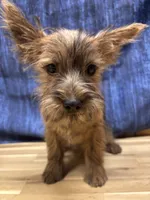 processed/b022dc9f-76a8-46ad-98e3-bd6c20bf0dfa/listing/0579b8a4-9da8-499f-adcf-8de4acd5f086/93d7ca1b-e1fd-48ff-8943-7d643fef0b53