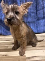 processed/b022dc9f-76a8-46ad-98e3-bd6c20bf0dfa/listing/0579b8a4-9da8-499f-adcf-8de4acd5f086/ca9c45a0-8815-4a9f-908e-11aac2f3b069